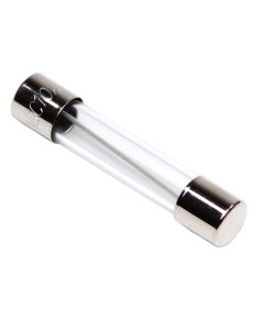 Workman AGC Glass Tube Fuse 100/pack-1 Amp